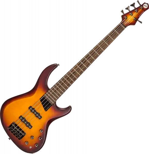Direct Verzonden Mtd Kingston Saragota Deluxe KSDX5LA 5-String - cherry burst