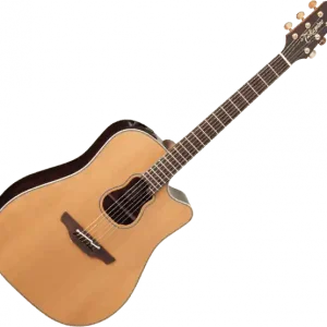 Takamine GB7C Garth Brooks - naturel Bestel Nu