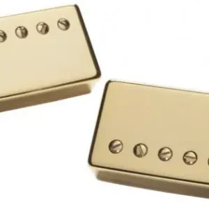 Rechtstreeks Van De Fabrikant Seymour duncan APH-2S Slash set- gold