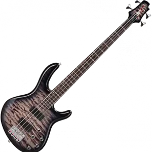 Cort Action DLX Plus FGB - fade grey burst Rechtstreeks Van De Fabrikant