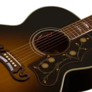 Koop Online Lr baggs Session VTC preamp + Element