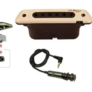 Gratis Verzending Lr baggs M80