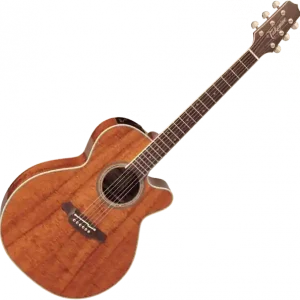 Fabrieksprijs Takamine EF508KC Legacy Japan - natural