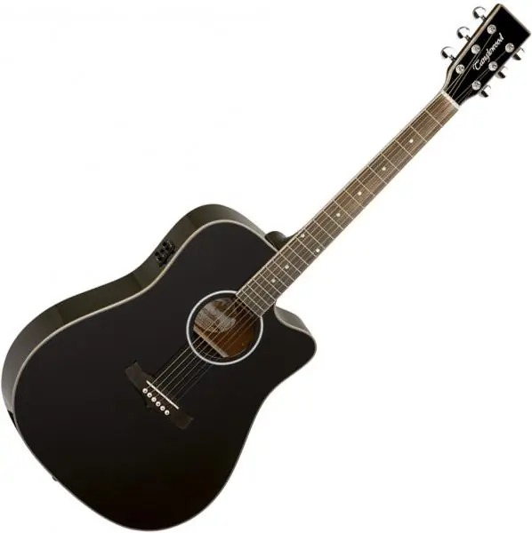 Goedkoop Tanglewood TW28 SLBK CE Evolution V - black