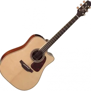 Rechtstreeks Van De Fabrikant Takamine P4DC Pro Japan - natural gloss