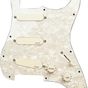 Populair EmgDavid Gilmour DG20 Pro Set