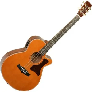 Tanglewood TW45 H E Heritage Favoriet