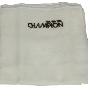 Champion CH333 Direct Beschikbaar