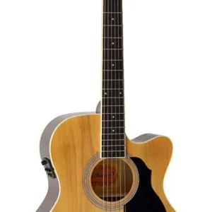 Beperkt Aanbod Richwood RA-12-CE akoestische gitaar