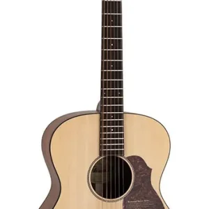 Superprijs Richwood A-220 custom shop auditorium OOO