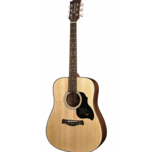 Beste Prijs Richwood D-40 dreadnought