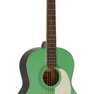 Actieprijs Richwood HSP-55-GN