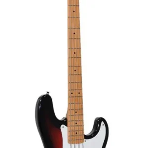 Alleen Vandaag SX SPB57-2TS 57 P-style elektrische basgitaar