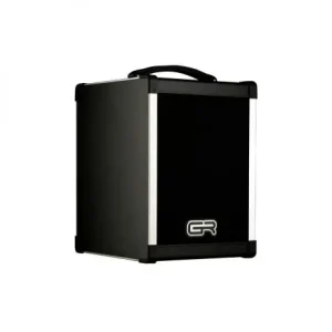 Tijdelijk Beschikbaar Gr bass BF Acoustic 6