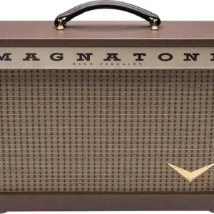 Rechtstreeks Van De Fabrikant Magnatone Starlite Reverb