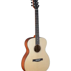 Goedkoop Stanford Radiotone Studio 65 OM