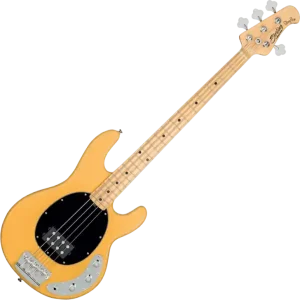 Bestel Nu Sterling by Musicman Ray24CA 4-String Bass Butterscotch