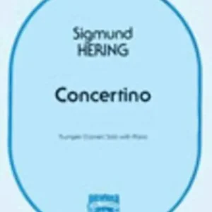 Veilige Betaling Concertino