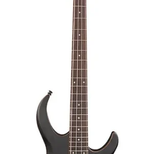 Alleen Vandaag Sire Basses M2+ 4/TBK basgitaar
