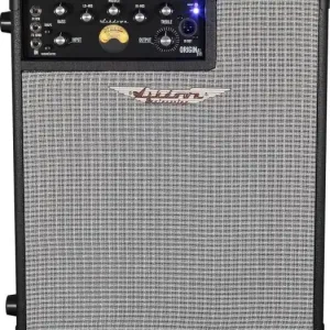 Ashdown Original Evo Combo 300W Koop Vandaag