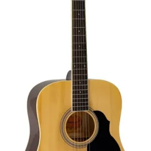 Snelle Levering Richwood RD-12 akoestische gitaar
