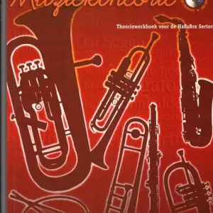 Alleen Vandaag Algemene muziektheorie; examen B