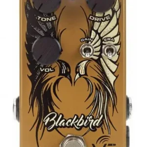 Vs audio Blackbird Overdrive Alleen Vandaag