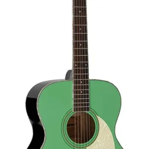 Superprijs Richwood HSA-55-GN