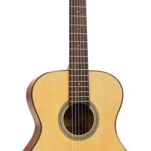 Valencia VA434 nylon snarige auditorium gitaar Favoriet