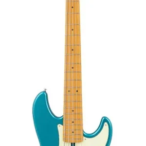 Bestel Nu Sire Basses P5 A5/TP