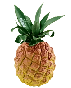 Shaker Nino Ananas Gratis Retour