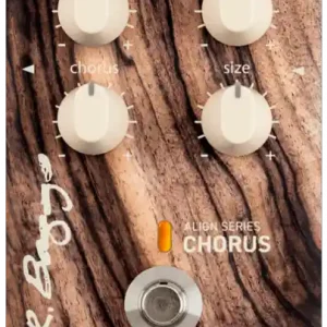 Lr baggs Align Series Chorus Betrouwbaar