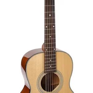 Bestel Nu Richwood P-40 handgemaakte parlor gitaar