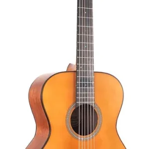 Beperkte Voorraad Valencia VA434VNA nylon snarige auditorium gitaar