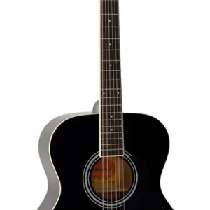 Uitverkoop Richwood RA-12-BK akoestische gitaar