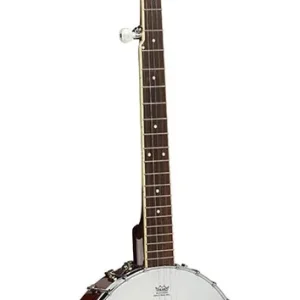 Alleen Vandaag Richwood RMB-405 folk banjo 5-snarig