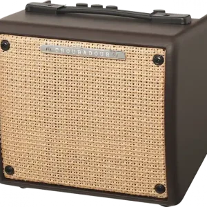 Shop Nu Ibanez Troubadour T15II