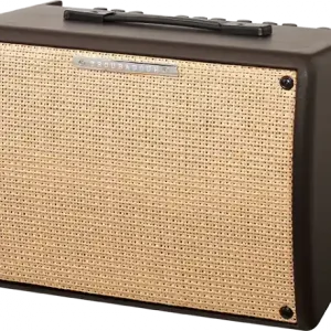 Ibanez Troubadour T30II Premium