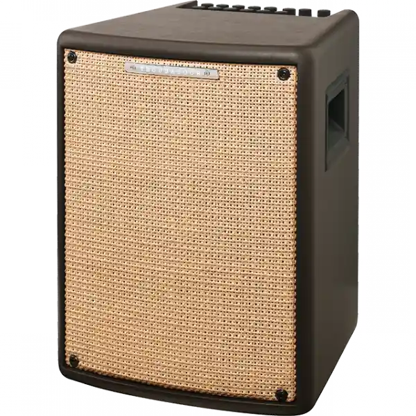 Direct Beschikbaar Ibanez Troubadour T80II