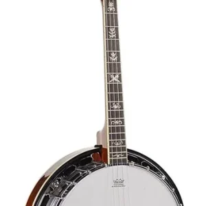 Snelle Levering Richwood RMB-904-SS tenor banjo 4-snarig. aluminium rim + tone ring