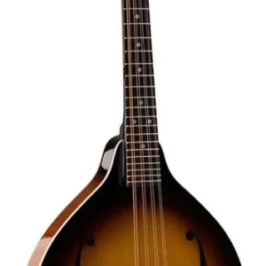 Weekendaanbieding SX SMA660VS