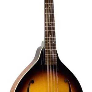 SX SMA660EVS Must-Have