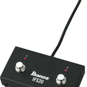 Ibanez IFS2U Troubadour T80N, T150S Rechtstreeks Van De Fabrikant