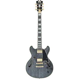 D'angelico Excel Mini DC, Black Dog Direct Beschikbaar