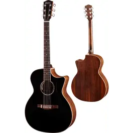 Direct Beschikbaar Eastman PCH2-GAce-BK