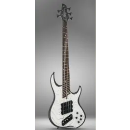 Dingwall Jacob Umansky ‘SOL’ Signature - 5 String Lage Kosten