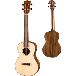 Beperkt Aanbod Eastman EU2-T Tenor