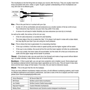 Weekendaanbieding 101 Trumpet Tips: Stuff All the Pros Know & Use