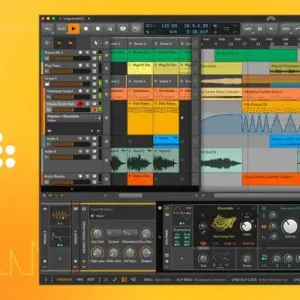 Bitwig Studio Producer (Upgrade from 8-Track) Express Levering