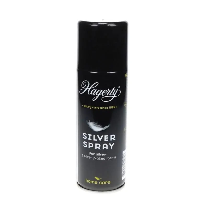 Poetsmiddel Hagerty Silver Spray Nu Kopen
